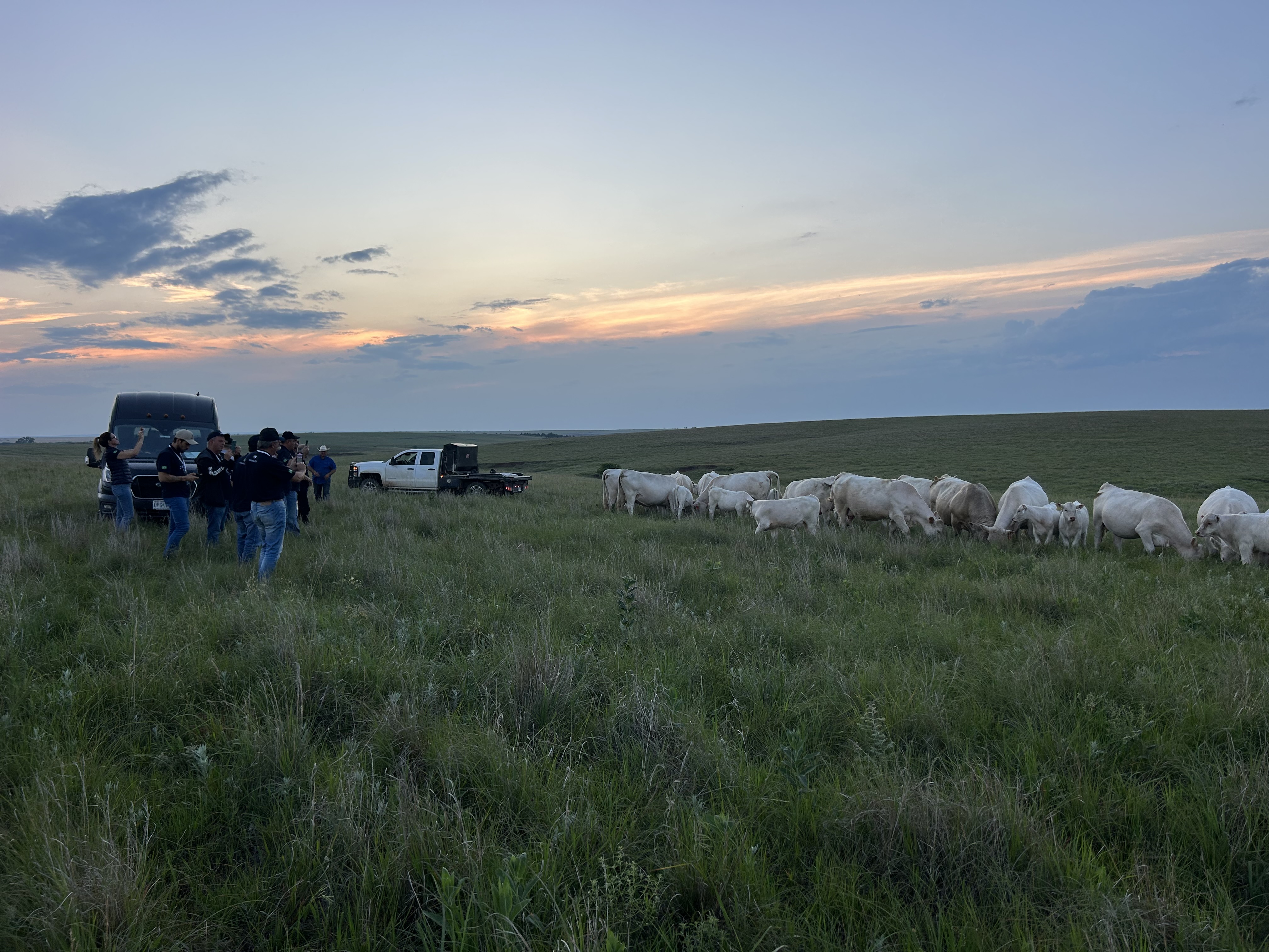 Schrader Ranch | Quality Ranch in Central Kansas