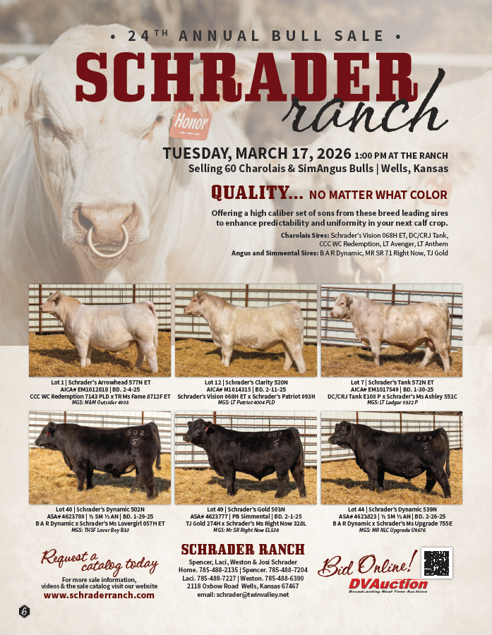 24th Annual Sale